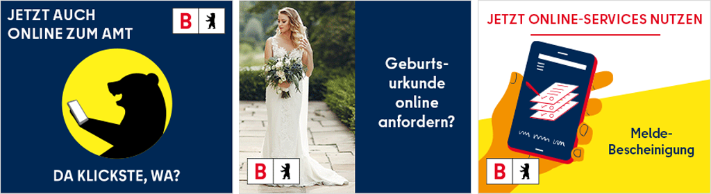 Bannerentwicklung für die Display Advertising Kampagne des SenInnDS