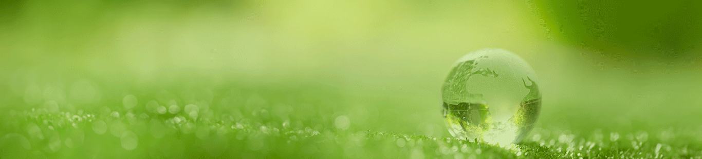 Environment, Social, Governance bei CBE DIGIDEN